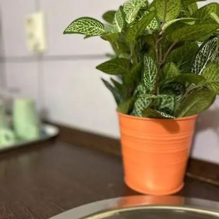 A3 Parliament Sunflower Cozy *