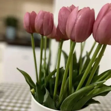 A3 Parliament Sunflower Cozy * Budapest